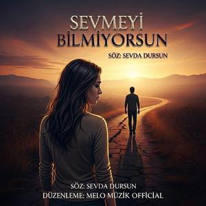 Sevmeyi Bilmiyorsun (Official Music)
