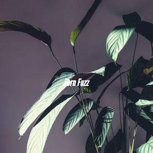 Background for Iced Double Americano