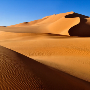 乐器合奏-边城双刀客（裹小脚的大叔 remix）