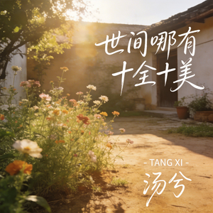 世间哪有十全十美