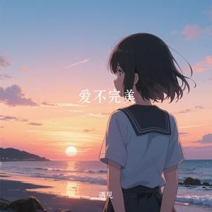 爱不完美 (Cover 锈)