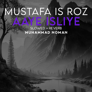 Mustafa Is Roz Aaye Isliye Lofi