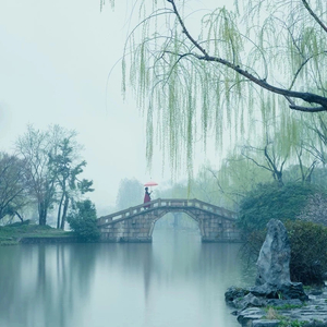 梅坞寻茶