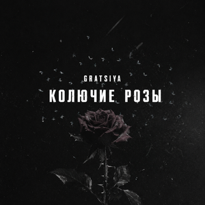 Колючие розы