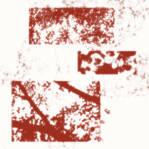 마른 꽃들의 노래