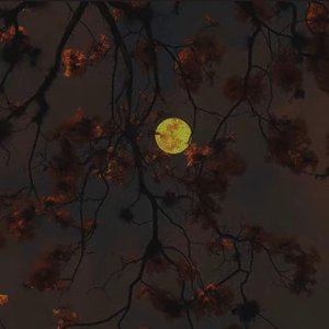 雨夜