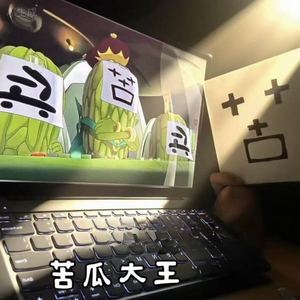 苦瓜大王