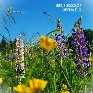 Öppna Dig (feat. Erik Slättberg)