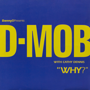 Why? (with Cathy Dennis) [Radio Edit]