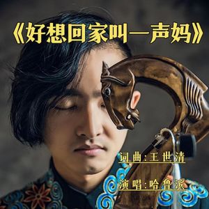 好想回家叫一声妈