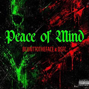 Peace of Mind (feat. BLUNTONTHEFACE)
