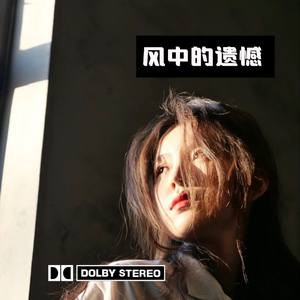 风中的遗憾 伴奏