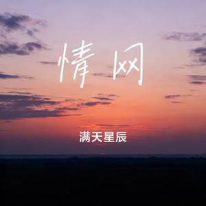 情网 (Cover 林咏诗)