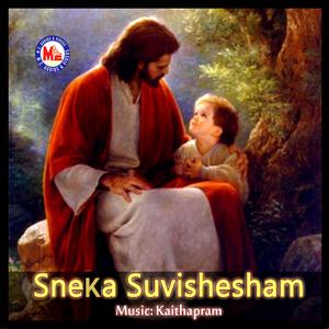 Vinnin Kavaadam Thurannu