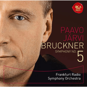 Symphony No. 5 in B-flat Major WAB 105:I. Introduktion. Adagio - Allegro