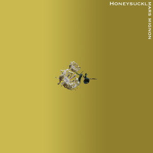 Honeysuckle