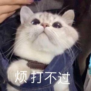 中间人（女生片段）