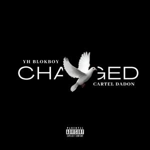 Changed (feat. Cartel DaDon)