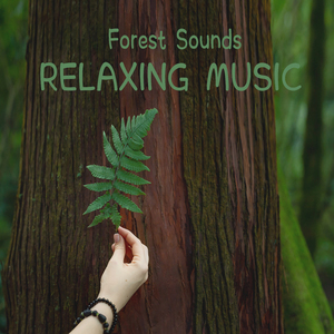 떨어지는 빗방울처럼 (빗소리)