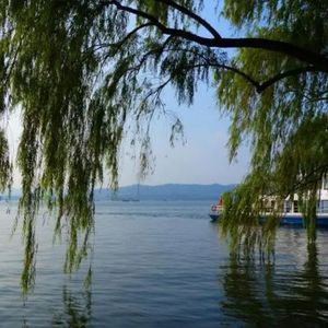 藏在心里的名字 (烟嗓男版)