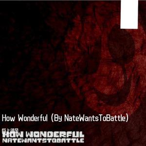 How Wonderful （NateWantsToBattle）