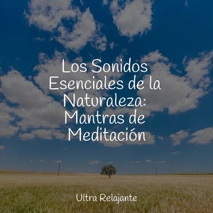 Al Otro Lado Del Cosmos