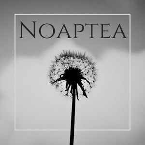 Noaptea