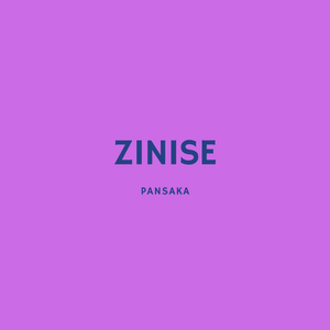 Zinise