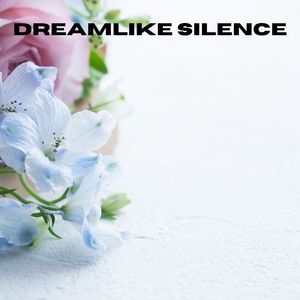 Silent Shapes (Loopable, No Fade)