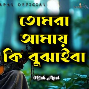 তোমরা আমায় কি বুঝাইবা (Piano Version)