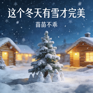 这个冬天有雪才完美