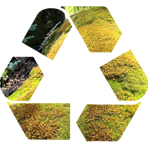 停止呼吸(Prod.我)