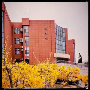 南开的春天和你