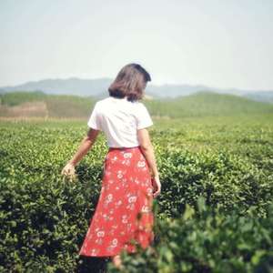 不染（翻自 萨顶顶）