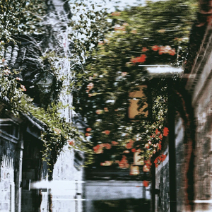 纯