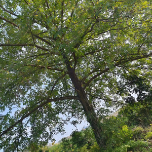 恨苍天让我遇见你