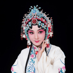 豫剧《同根异果》天上太阳赶月亮