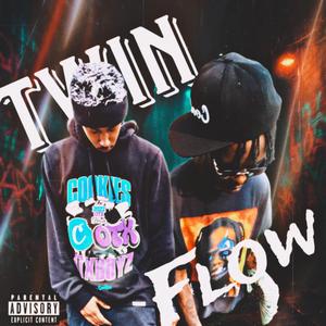 Twin Flow