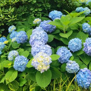 坐在巷口的那对男女1653481806967_20220525_203019