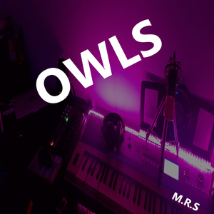 Owls