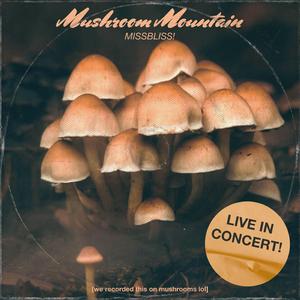 Haze Hymn (Live At M.M.) (Live)