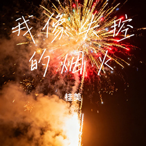 我像失控的烟火