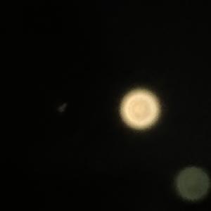 咬住下唇（翻自 eSNa）