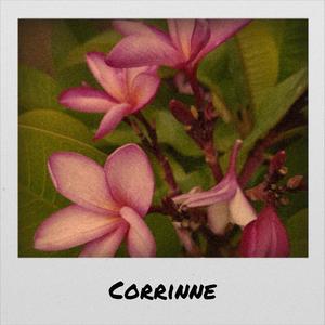Corrinne