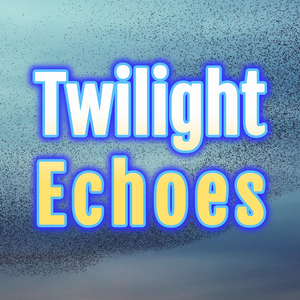 Twilight Echoes