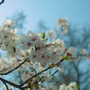 Time Flows Like A River（钢琴伴奏）