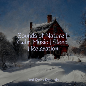 Velvet Veil of Silence