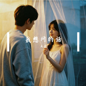 我想问的话