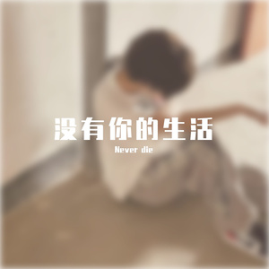 没有你的生活