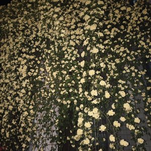 晴·现在谁能够在你心里面